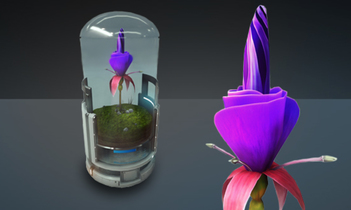 Space Flower - Emperor Blossom