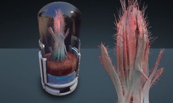 Space Cactus - Kavische