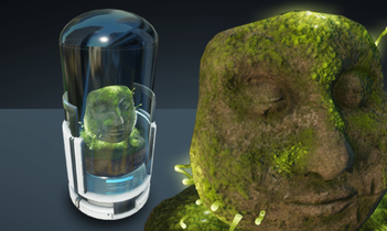 Conner’s Beard Moss